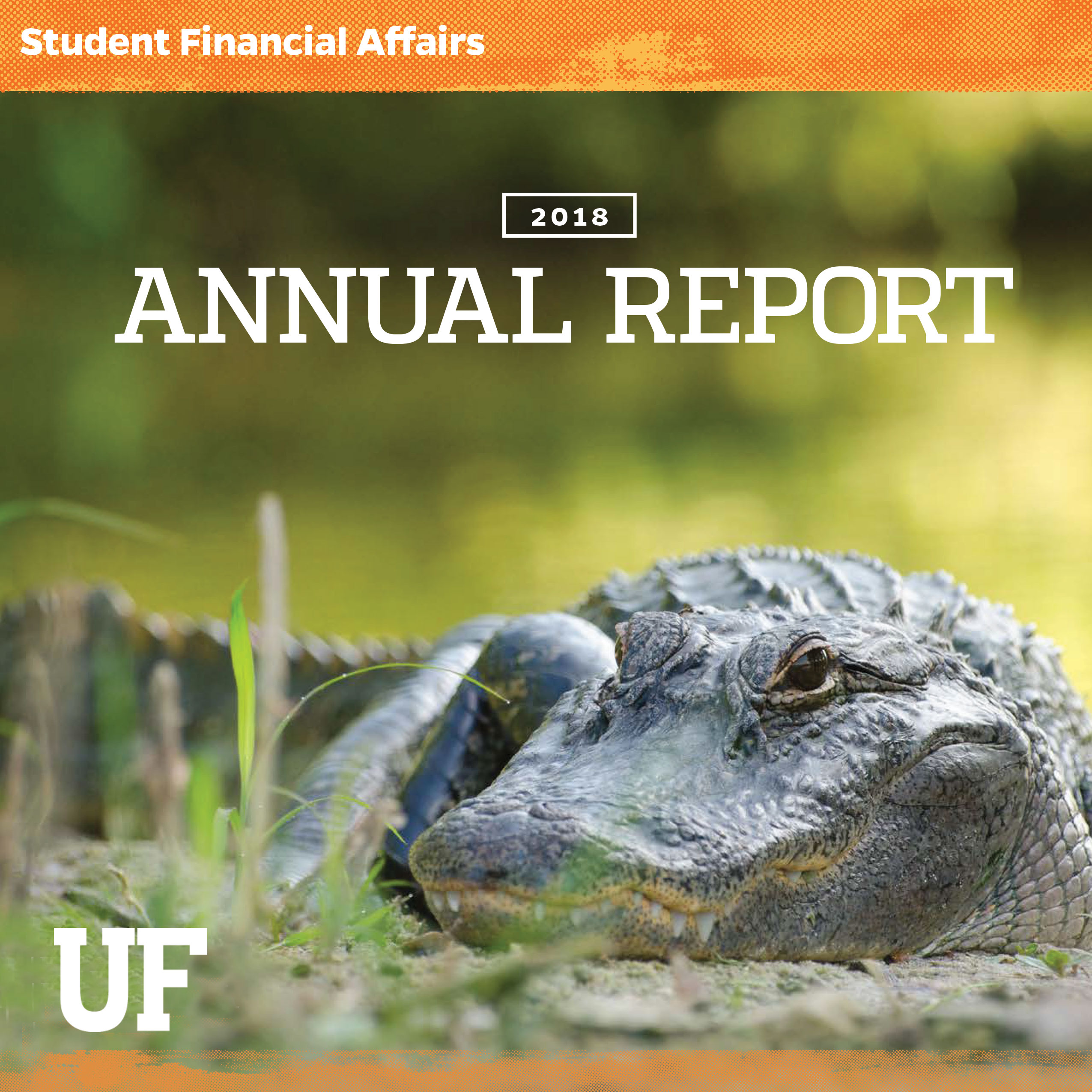 2019 Annual Report for the Office for Student Financial Aid and Scholarships